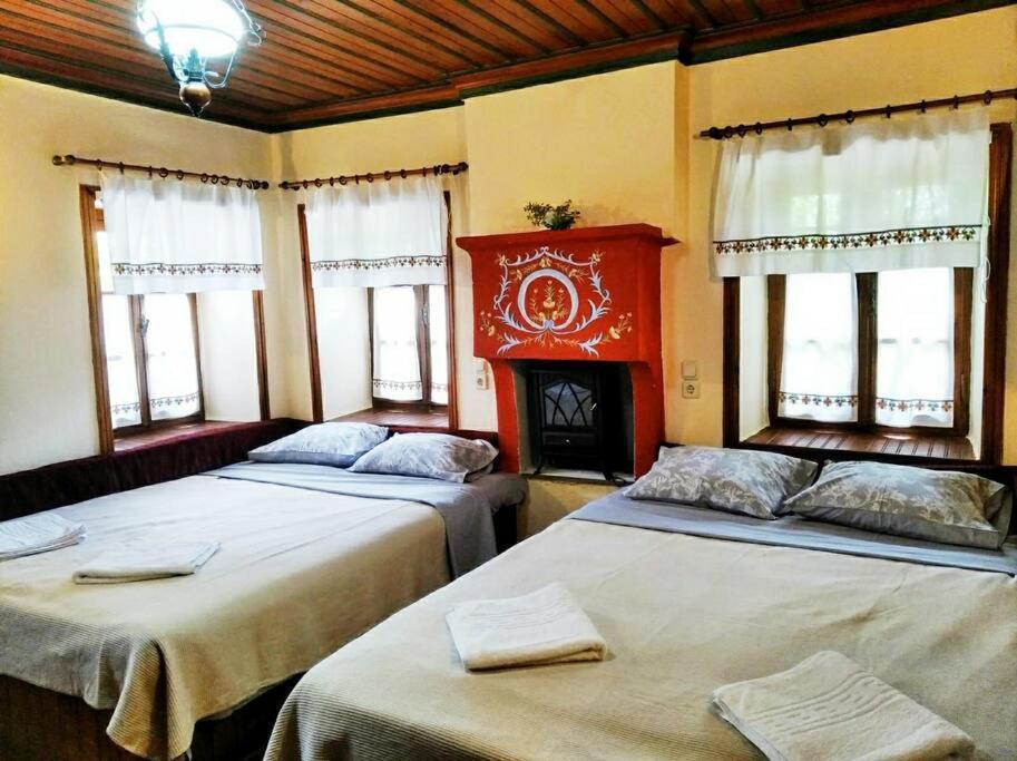 παραδοσιακό σπίτι στο Holiday home Monodendri